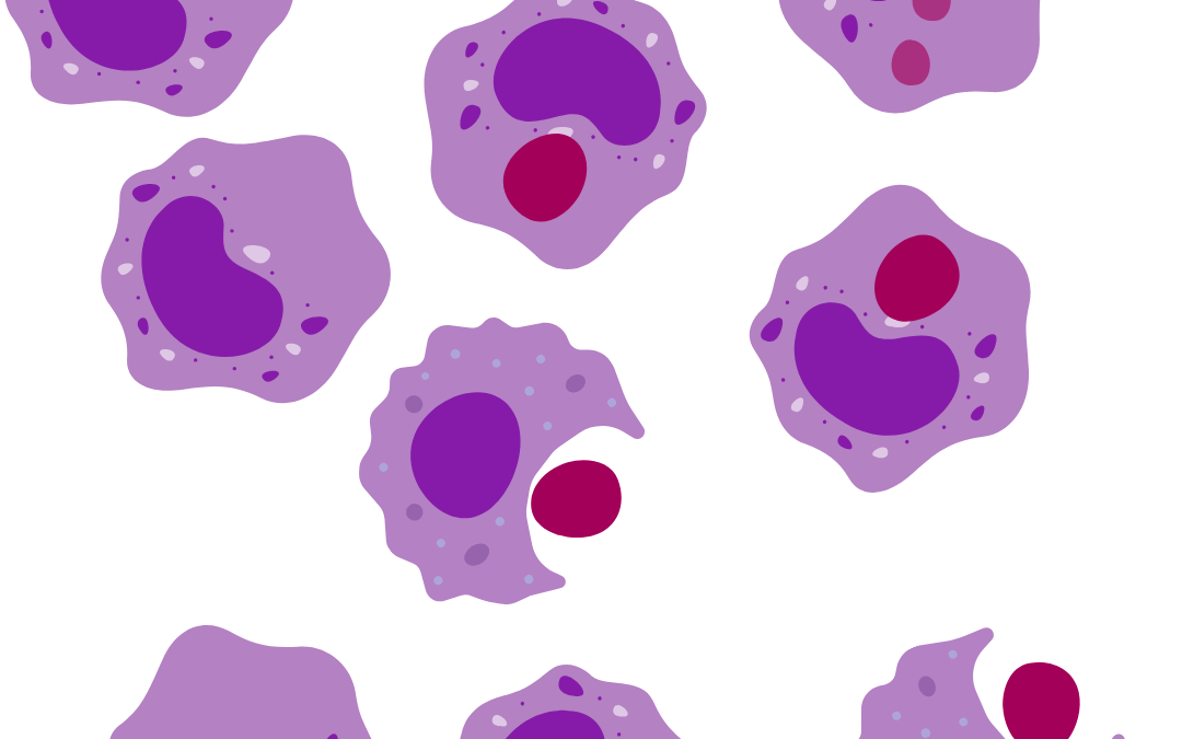 Cell therapy offers ‘real hope’ for people living with cirrhosis