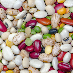 image shows a variety of different shaped and coloured beans