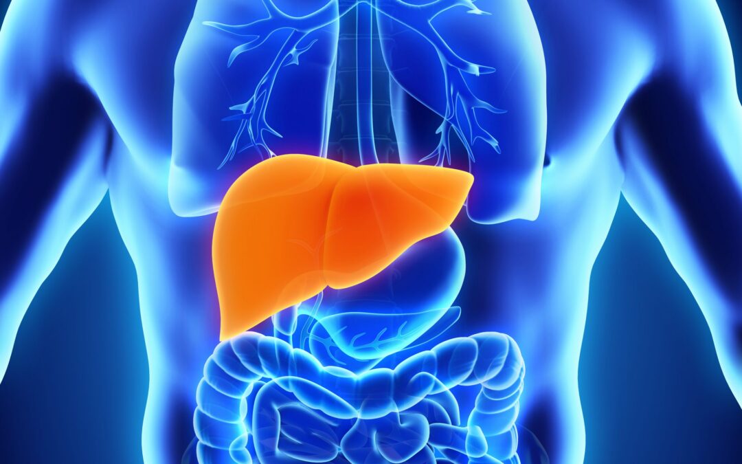 Human liver kept for three days successfully transplanted