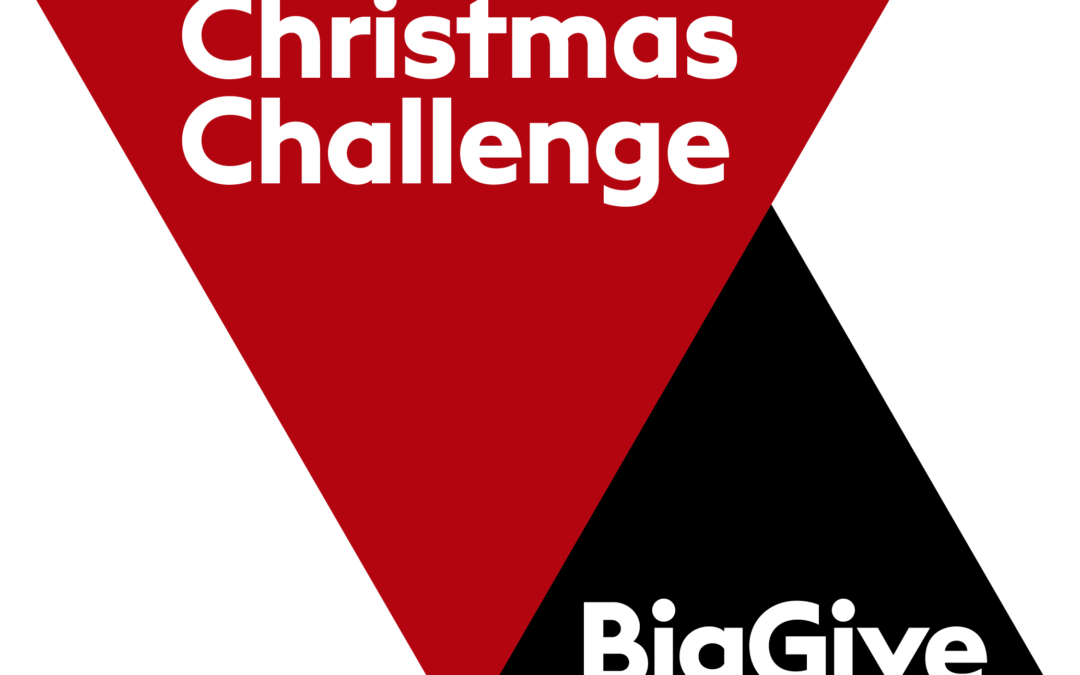 British Liver Trust takes part in the Big Give Christmas Challenge 2022
