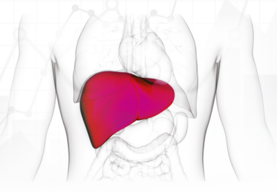 Consensus Statement on Non-Alcohol Related Fatty Liver Disease Launched at Parliament