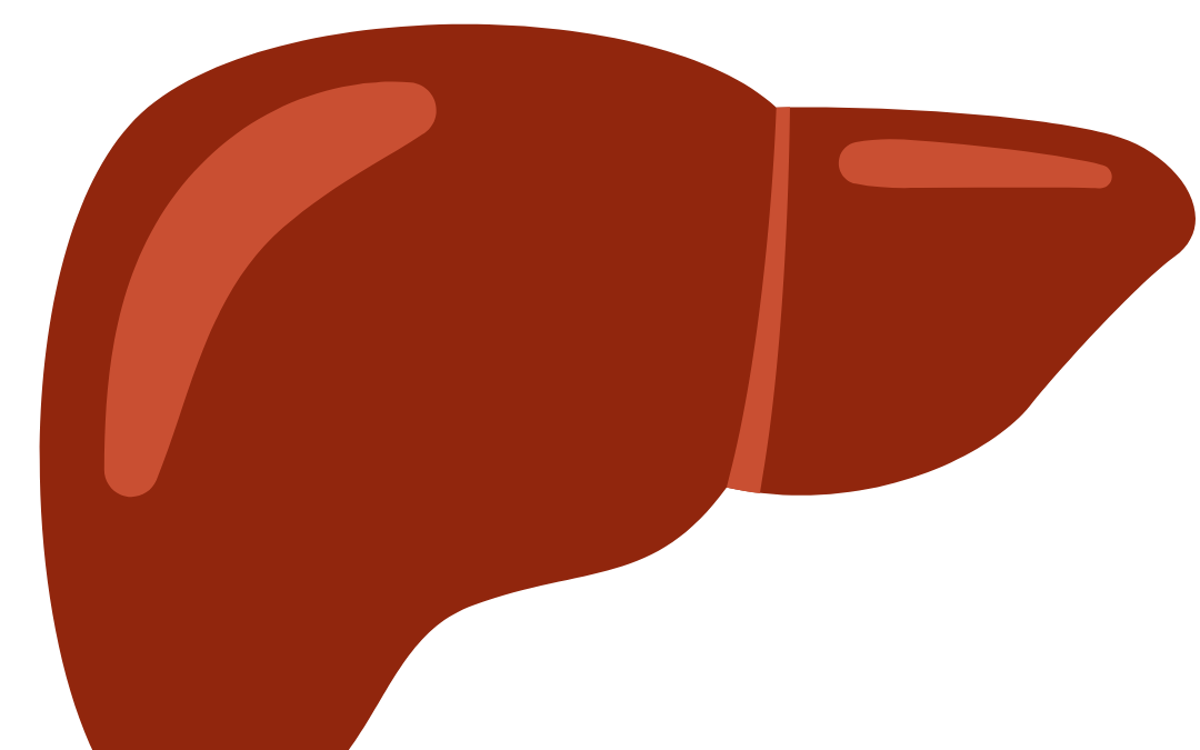 Your voice matters: help shape the future of liver transplant allocation