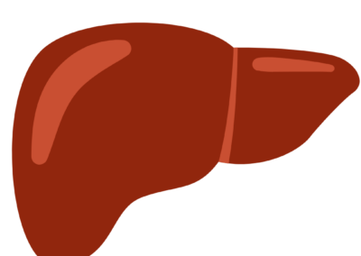 Your voice matters: help shape the future of liver transplant allocation