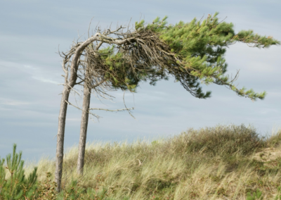 How to develop resilience