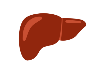A historic moment for liver health