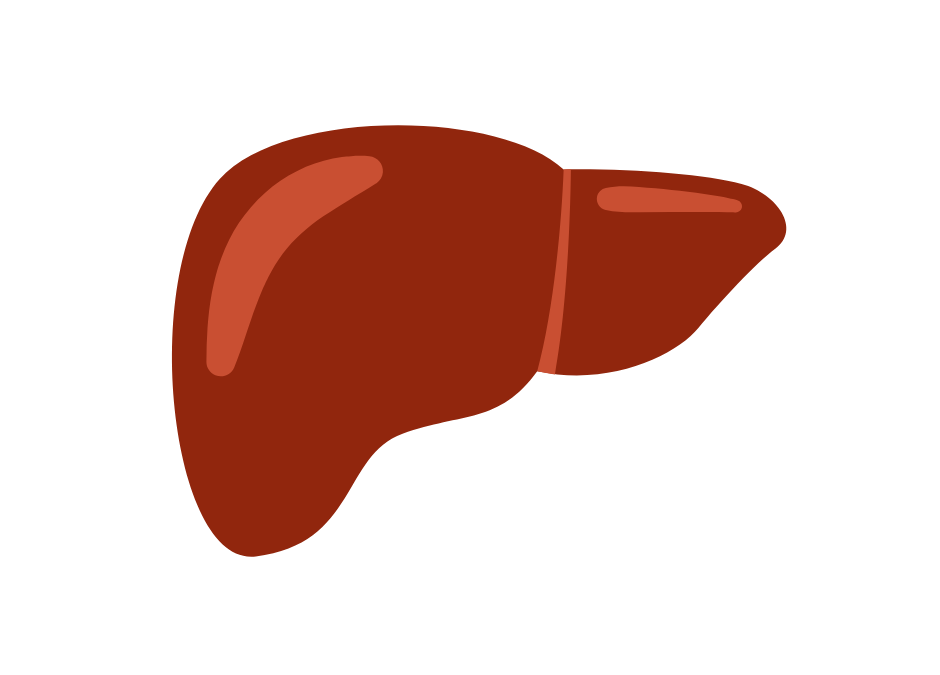 A historic moment for liver health