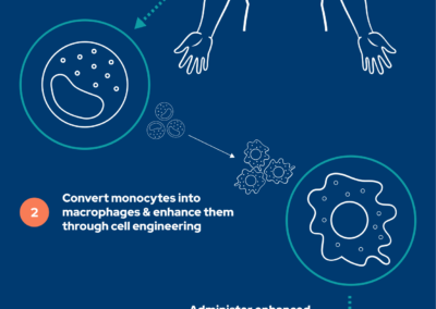 Green light for new liver cirrhosis trial using engineered immune cells